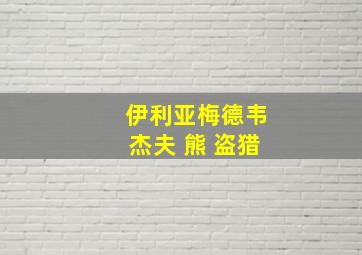 伊利亚梅德韦杰夫 熊 盗猎